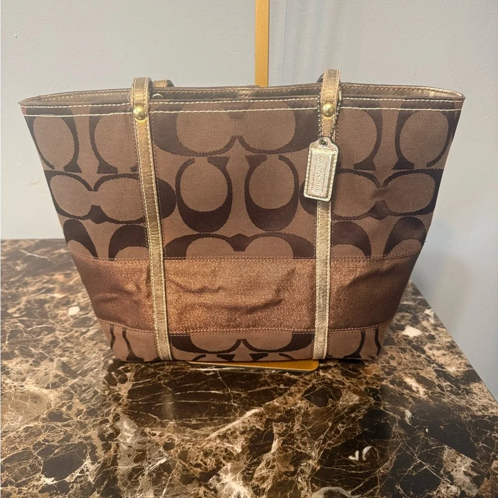 Coach signature stripe